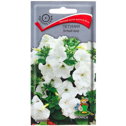 ���� ������ ����� ������� ����� ��� 0.1 � ������ ������