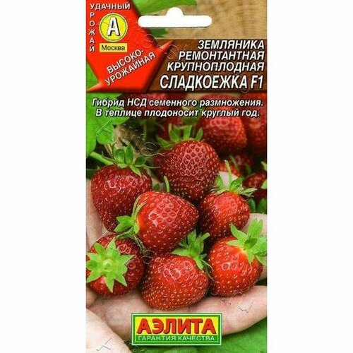 ���� ������ ��������� ���������� F1 (������) 10�� ������ ������