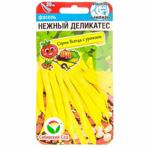 ���� ������ ������ ������ ��������� 5� ������ �������� (��������� ���) ������ ������