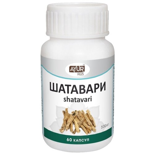 ���� ��������, 60 ������ ������ ������