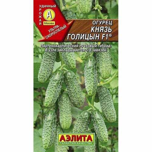 ���� ������ ������ ����� ������� F1 ����, �����������, (������) 10�� ������ ������