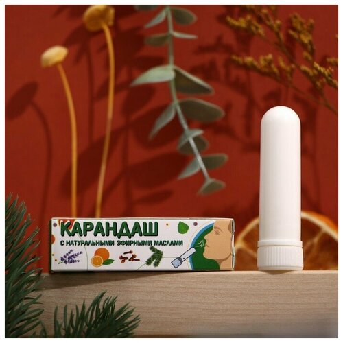 ���� ��������-��������� �� �������� � ����� � ���������� ������ ������