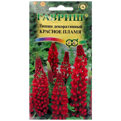 ���� ������ ������ ����� ������� ����� 0,5 � ������ ������