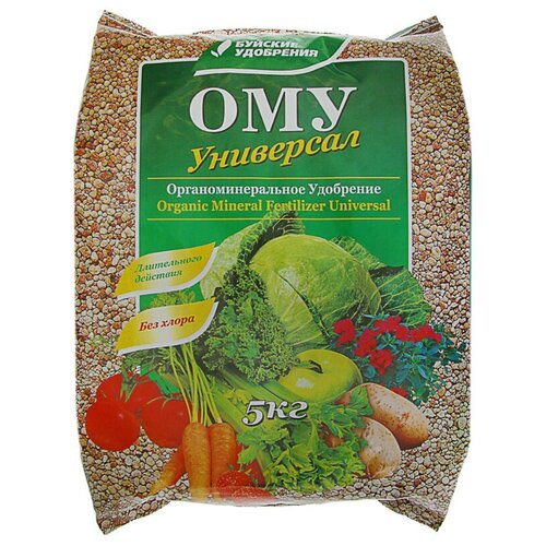 ���� ��������� ������-����������� ��������� , 5 �� ������ ������