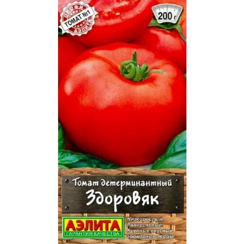 ���� ������ ����� �������� 20�� ��� ������ (������) ������ ������