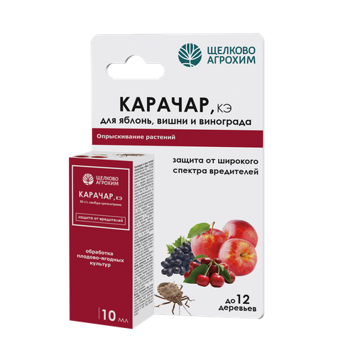 ���� ������� 10�. (������ �� ���������� �����, ��������� �����, ����������) ������� 6611 ������ ������