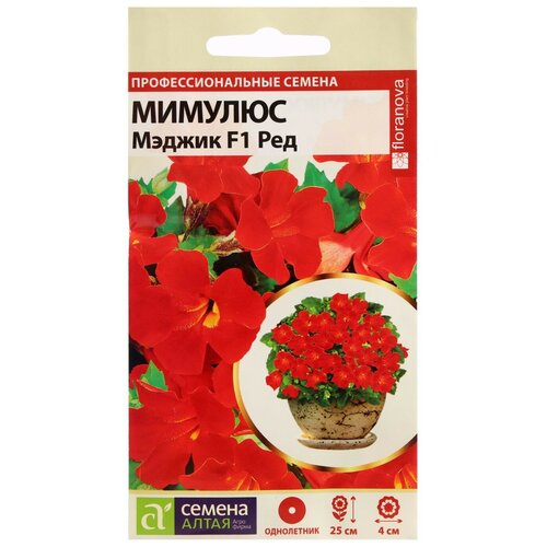 ���� ������ ������ ����� ������� ������ F1 ���,10 ��. ������ ������