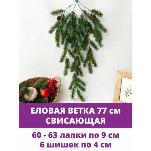 ���� ������ ����� ��� ������, ������������ ������ ���������, 77 ��, 1 �� ������ ������