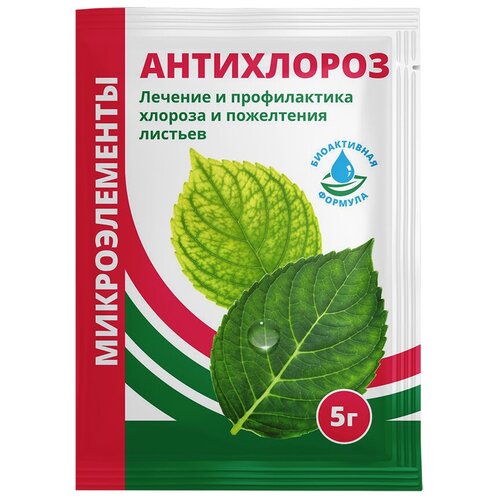 ���� ��������� ��������� ����������, 5 � ������ ������