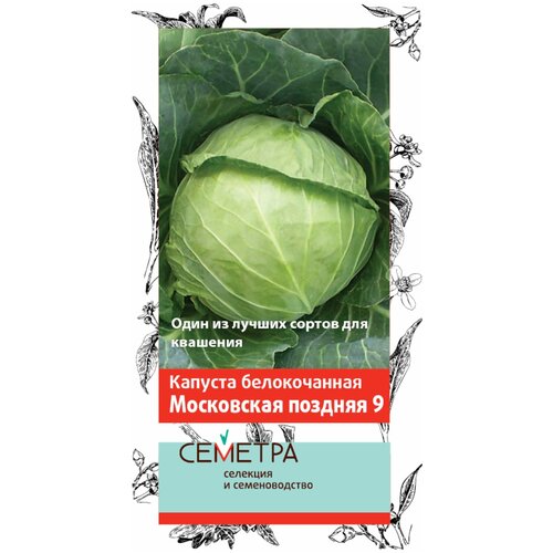 ���� ������� ������������ ���������� ������� 9 0.5 � ������ ������