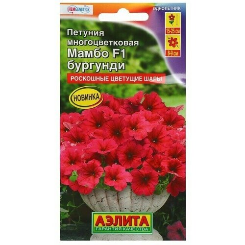 ���� ������ ������� ����� F1 �������� ��������������, 7 �� ������ ������