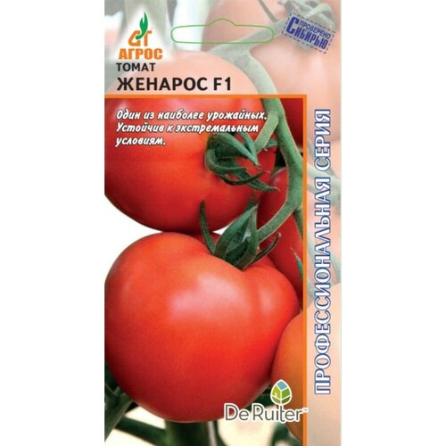 ���� ������ ����� 