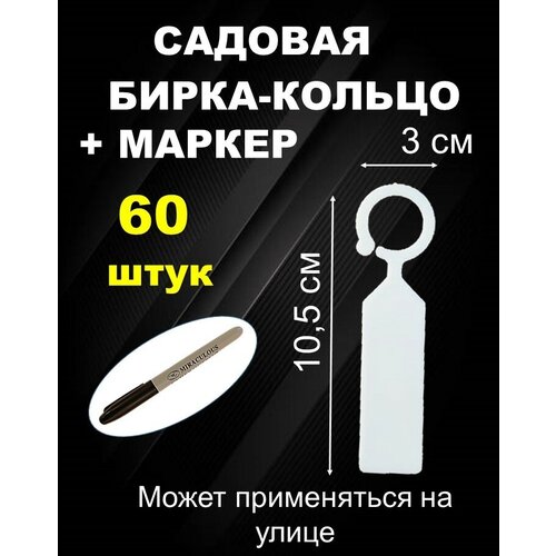 ���� ������� ����� ������ 60 ���� ������ ������