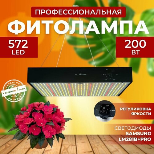 ���� ��������� ��� ����������� �������� ������� ������ ������, ���������������� �������������� ������������ Quantum board, ����� ��������� ��� ������ � �������� 200 ���� ������ ������