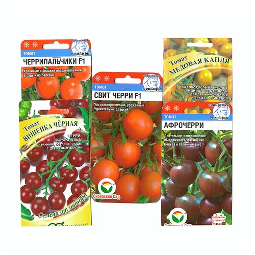 ���� ����� ����� ������� 