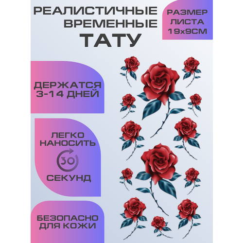 ���� ���� ���������� ��������������, ��������� ������� ���� ������ ������