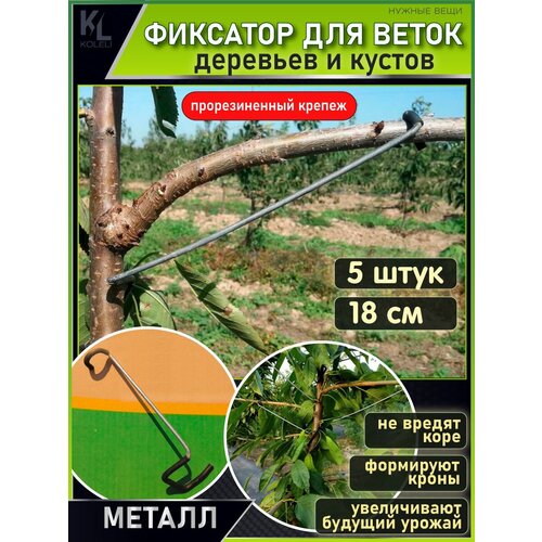 ���� KoLeli / �������� ��� �����, �������� ��� ��������, ������������� ���������, �������������, 5 ��/18 �� ������ ������