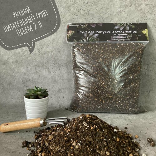 ���� ������� ����� ��� ���������� � �������� Terracotta Plants � �������� 2 ����� ������ ������