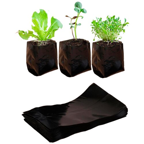 ���� ����� ��� ������� 0,25 �, � �����������, 50 ���� ������ ������