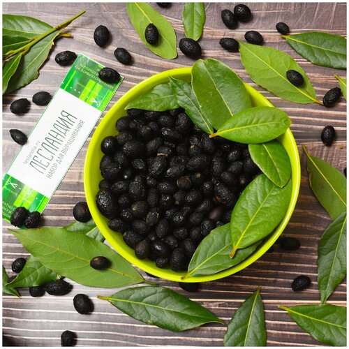 ���� ���� ������ ������, ������, 5 �� ������ ������