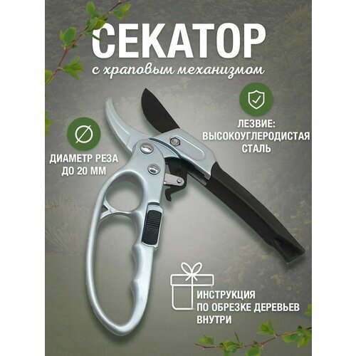 ���� ������� ������� ���������������� / ������� � �������� ���������� ������ ������