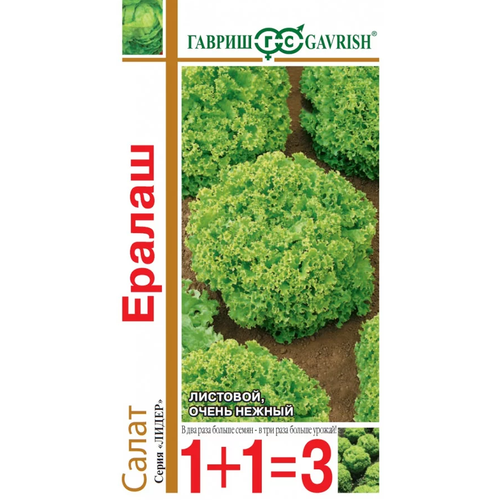 ���� ����� �������� ������, ������ ������ ( 1 ��: 1 � ) ������ ������