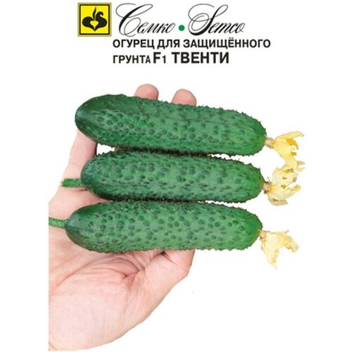 ���� ������ ������ F1 ������ (�� ������ �������) 10 ���� ����� ����� ������ ������