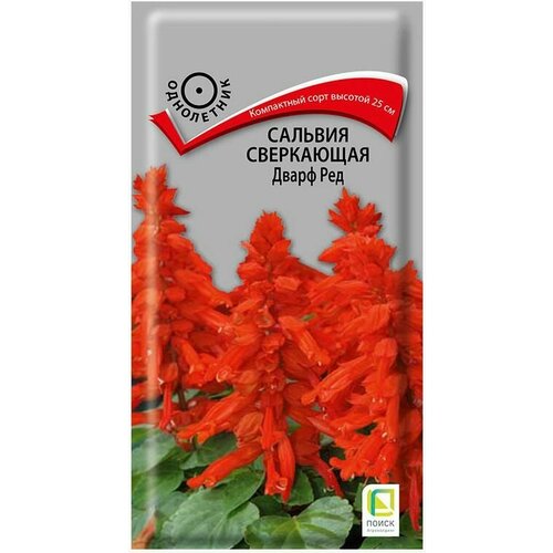 ���� ������ ����� ������� ���������� ����� ��� 0.1 � ������ ������