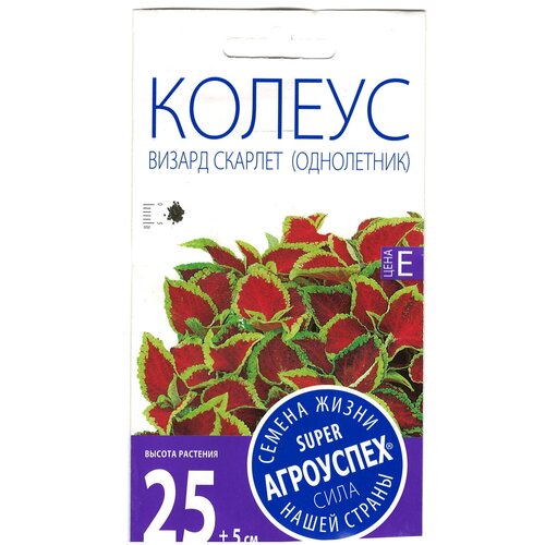 ���� ������ ��������� 