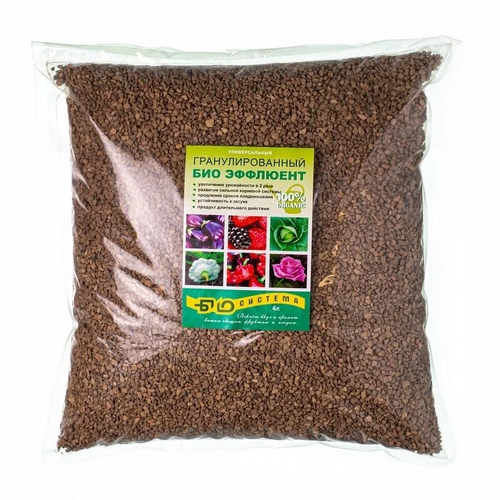 ���� ��������������� �������� 4 � (���-�������) ������ ������