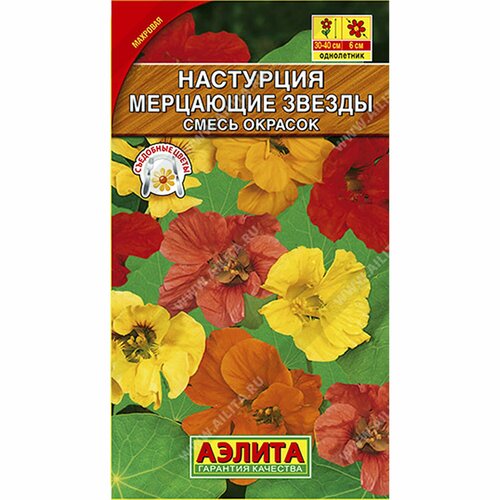 ���� ������ ��������� ��������� ������, ����� ������ ����, ����������, (������) 1� ������ ������