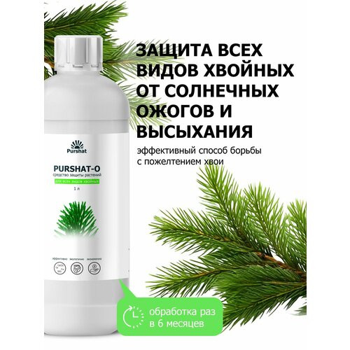 ���� ��������� ������-� ��� ������� �� ��������� ������ � ������ 1 � ������ ������