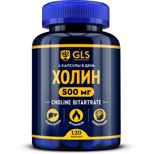 ���� ����� ����., 100 �, 120 ��. ������ ������