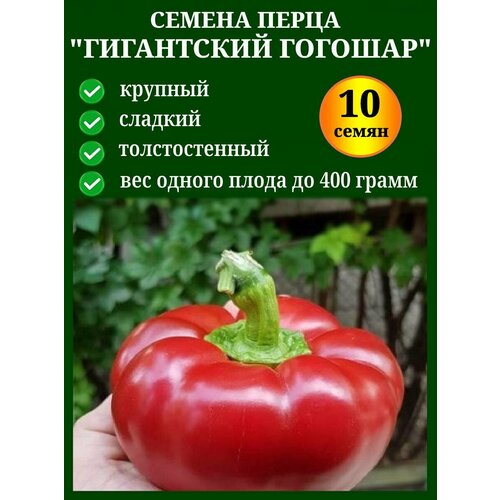 ���� ������ �������� �������� ������������� �������������� ����� ������� ���������� (������, 10 �����). ������ ������