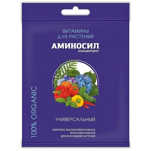 ���� �������� ��������� ������ �������� �������������, 5 �� ������ ������