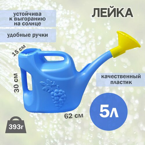 ���� ����� 5� ��������� � ������������� ������ ������
