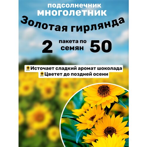 ���� ������������ ������� �������� ����������� 2 ������ �� 50�� ����� ������ ������