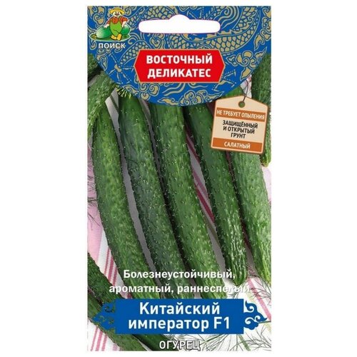 ���� ������ ����� ��������� ��������� ������ ��������� ��������� F1, 5 ��. ������ ������