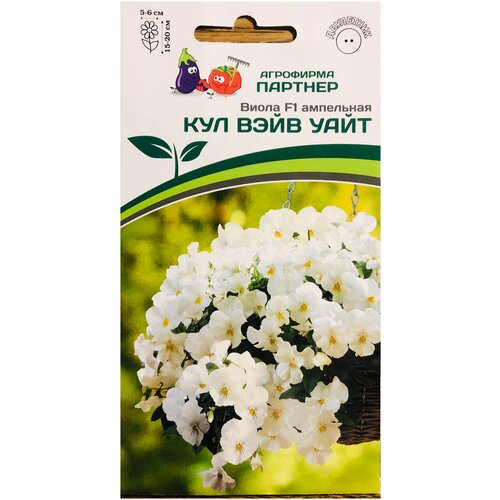 ���� ������ ����� ��������� 