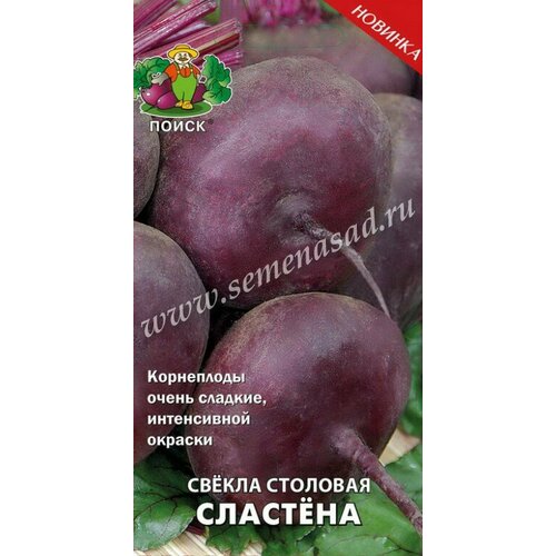 ���� ������ �������� 3��. (�����) ������ ������