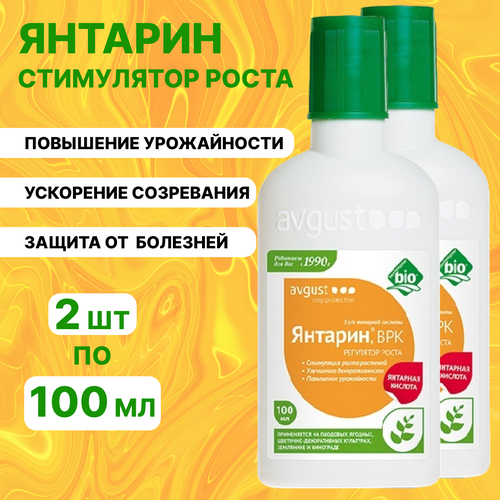 ���� ������� ������ ������