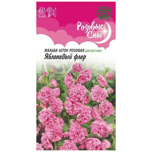 ���� ������ ��������� ���� (0,1 �), 2 ������ ������ ������