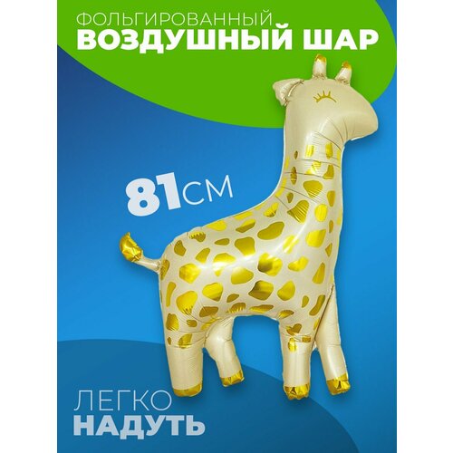 ���� �������������� ��������� ���� �������� �� ���� �������� ������ ������