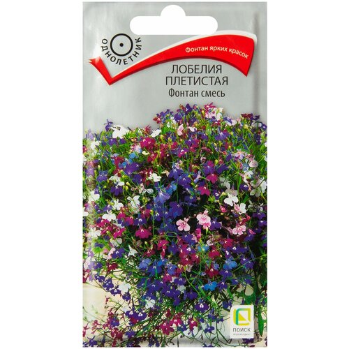 ���� ������ ������ ������� ��������� 