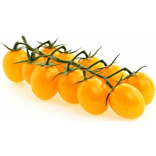 ���� ������������� ������ ����� ������� ���������� ������ ������ ������