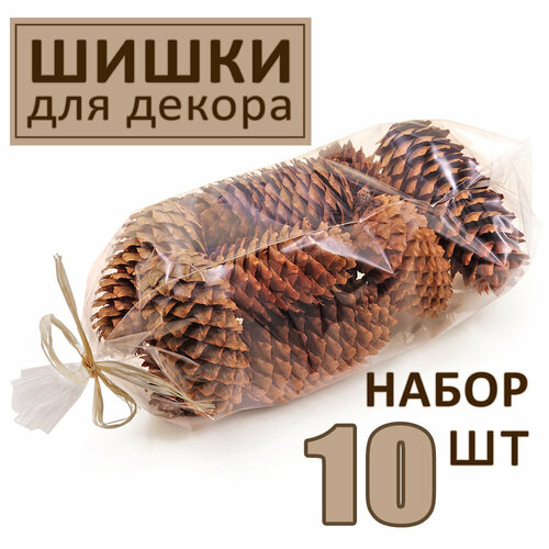 ���� ����� ��� ������ ���������� ����������� ������ ����� ��� ������� � ����������, ����� 10 �� ������ ������