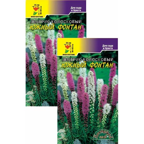 ���� ������� ����������� ����� (0,05 �), 2 ������ ������ ������