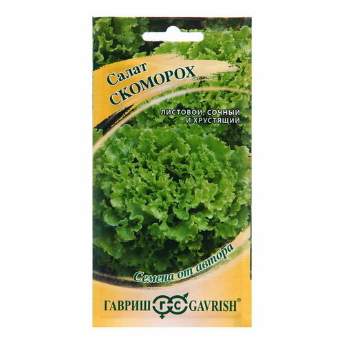 ���� ������ ����� 