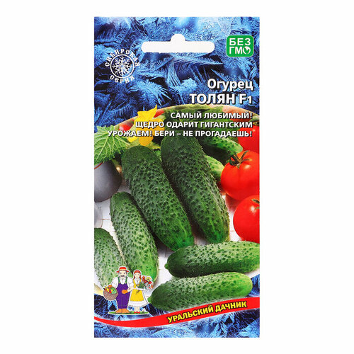 ���� ������ ������ 