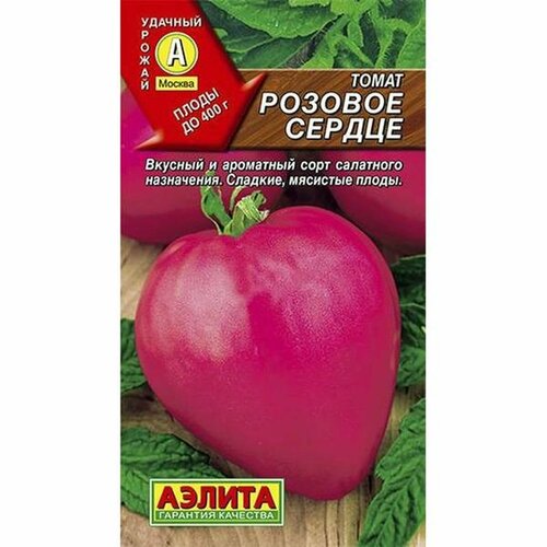 ���� ������ ����� ������� ������, ������������, ������������, (������) 20�� ������ ������